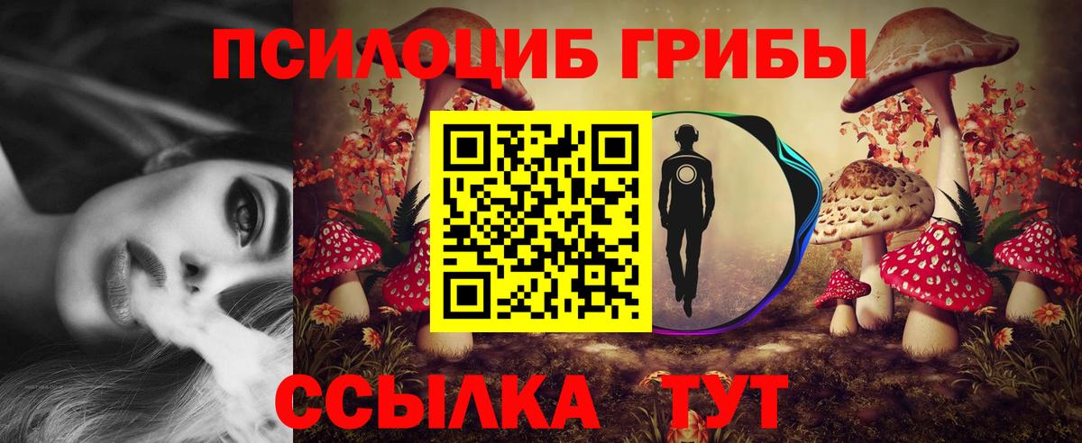 Галлюциногенные грибы Psilocybe Гагарин