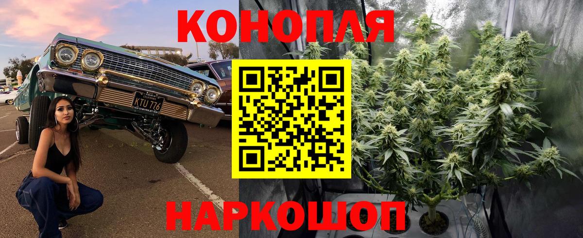 МАРИХУАНА Ganja Гагарин